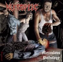 Necroptic : Meticulous Pathology